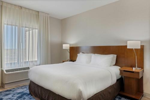 Fairfield Inn & Suites by Marriott Alamosa - image 5