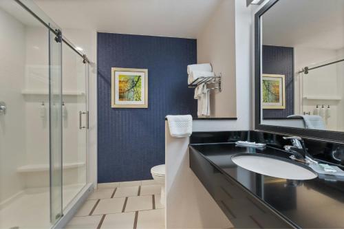 Fairfield Inn & Suites by Marriott Alamosa - image 11