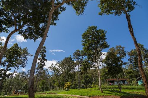 Phu Pha View Doi