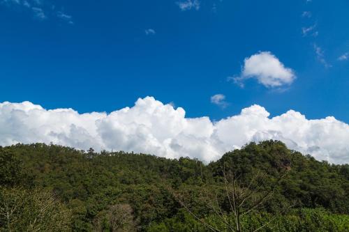 Phu Pha View Doi