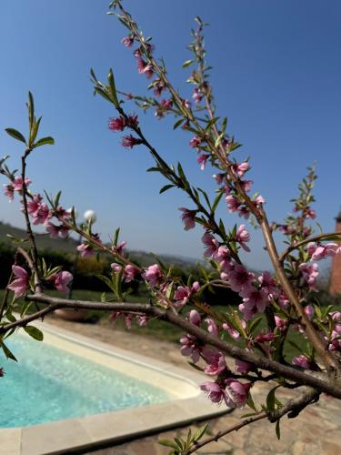 Agriturismo Ca d'Linet in Coazzolo