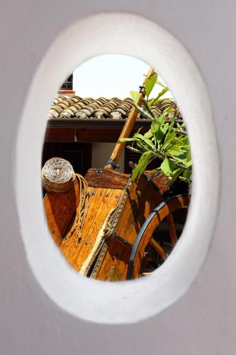 B&B Sabir - image 6