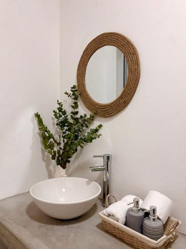 Bamboo in El Paredon Buena Vista