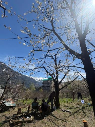 Raahi Roots photo 3