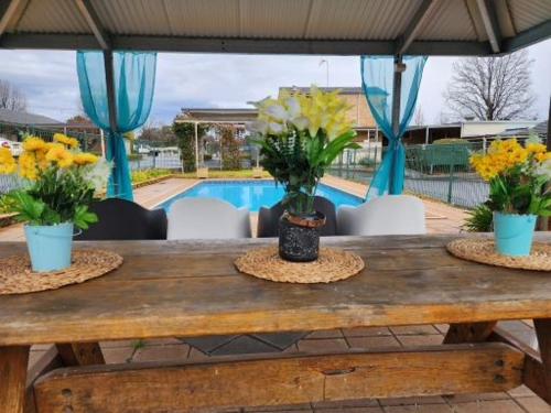 Úszómedence, Country Gardens Motel in Coonabarabran