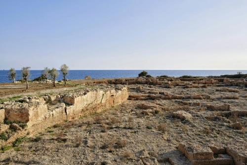 Amoh, a Luxury Collection Resort, Rhodes, Pefki Rhodes (Foto 3)