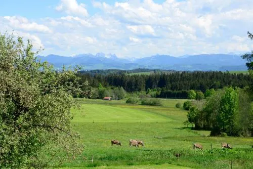 Kuh Heimat - Bergblick - Terrasse in Buchenberg, Deutschland