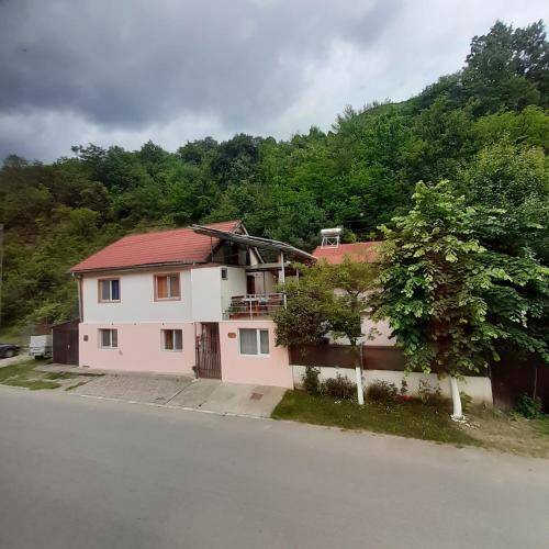 CASA IZA, Băile Herculane