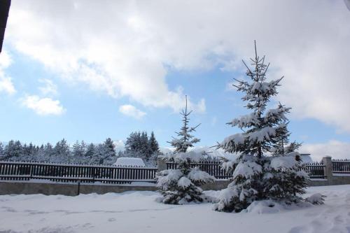 Chalet Mechka - main image