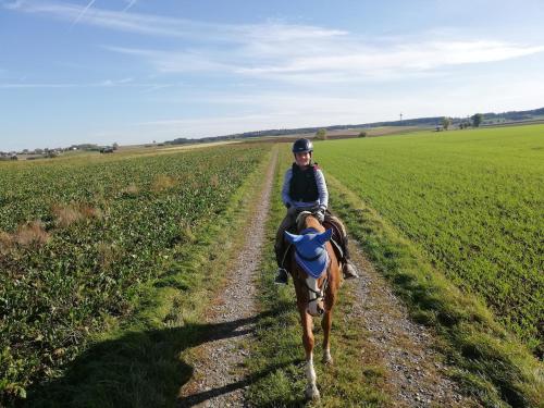 Urlaub auf dem Bauernhof mit Wellness in Geiselhöring