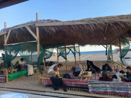 מתקני המלון, Eden Camp Abu Galum in ניויבה