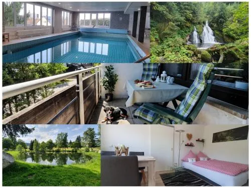 Black Forest Kuckucksnest mit Pool, Wifi, Seeblick in Schönwald im Schwarzwald in Schönwald, Deutschland
