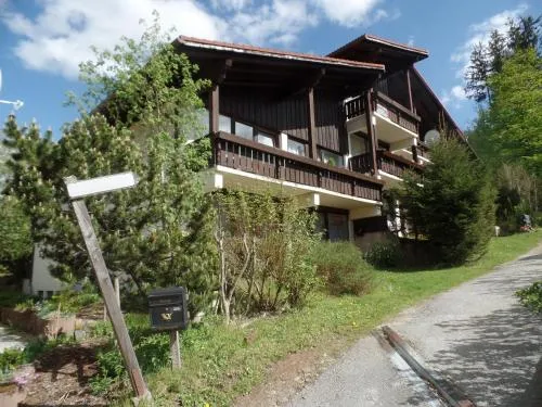 Am Waldrand in Bayerisch Eisenstein, Deutschland