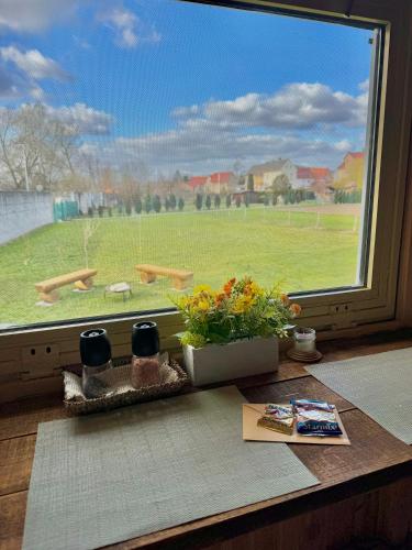 Skats, Tiny House by the river in Křešice