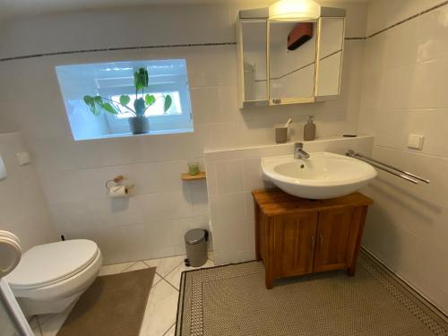 Souterrainwohnung mit Badesteg an der Paar in Friedberg