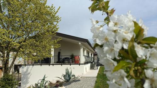 APPARTAMENTO " Le Terre del Garda "