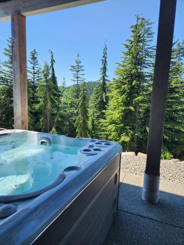 Black Arrow Chalet in Mount Washington (BC)