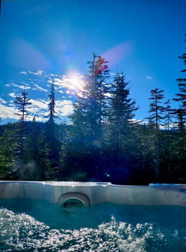 Black Arrow Chalet in Mount Washington (BC)