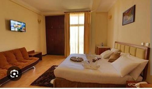Tana Royal suites Bahirdar Hotels – khách sạn tại Bahir Dar