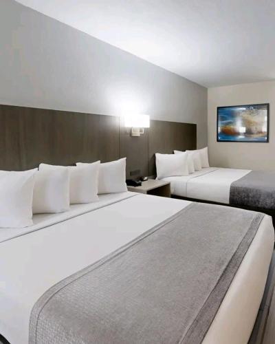 Tana Royal suites Bahirdar Hotels in Bahir Dar