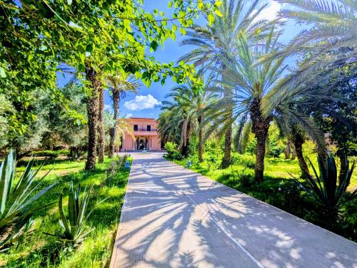 Las Palmeras Guest House - image 10