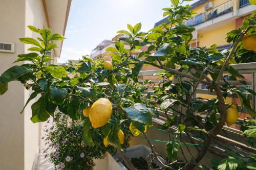 Elegantis Terrazze al Vaticano - Your Chic Retreat in Central Rome - image 4