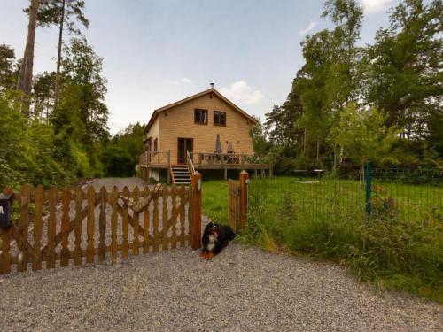 Luxury chalet with sauna in the forest - Location saisonnière - Barvaux-sur-Ourthe