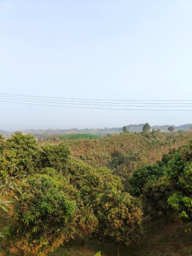 Sky n Valley in 반다르반