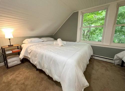 Albany Value Stay - Near universities Hospitals home - image 3