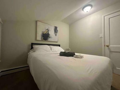 Albany Value Stay - Near universities Hospitals home - image 4