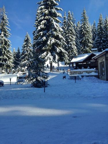 Romantica Forest Holiday Village - image 4