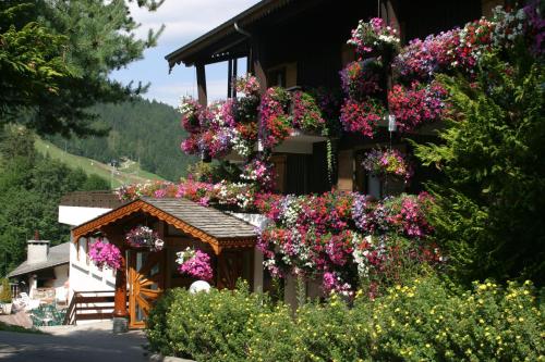 Hotel le Petit Dru - image 7