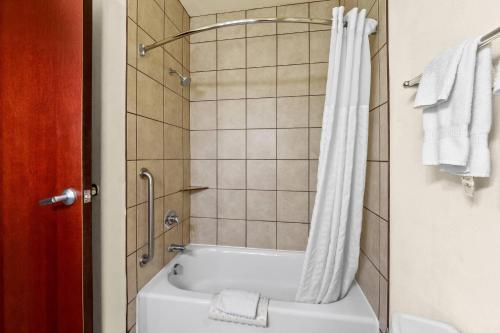 Comfort Suites San Antonio North - Stone Oak - image 17