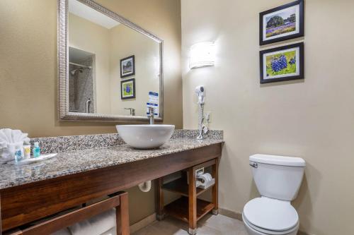 Comfort Suites Old Town Spring - image 13