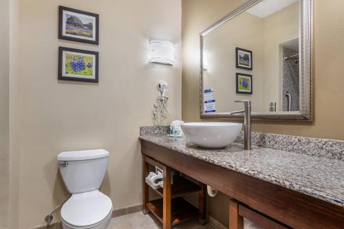 Comfort Suites Old Town Spring - image 14