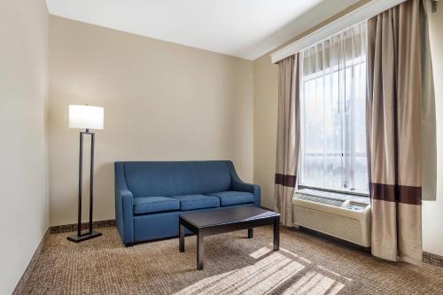 Comfort Suites Old Town Spring - image 9