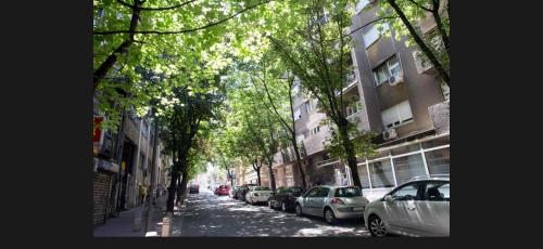 Belgrade Holliday