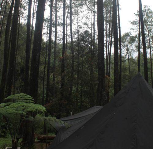 Lembah Pinus Cikole - 숙소 외관