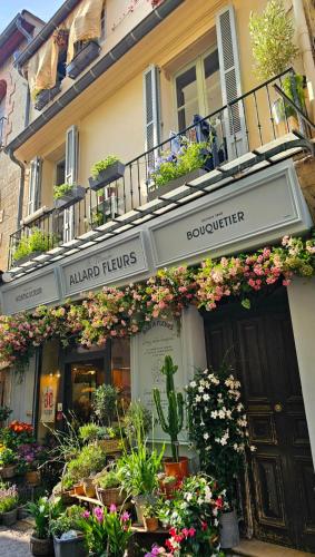Stylish & Cozy Studio in the Heart of Old Antibes