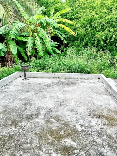 Sejour Caraibe in Pointe-Noire