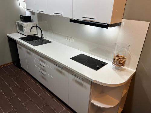 Ludza Comfort Apartment in 盧扎