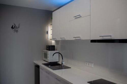 Ludza Comfort Apartment in 盧扎