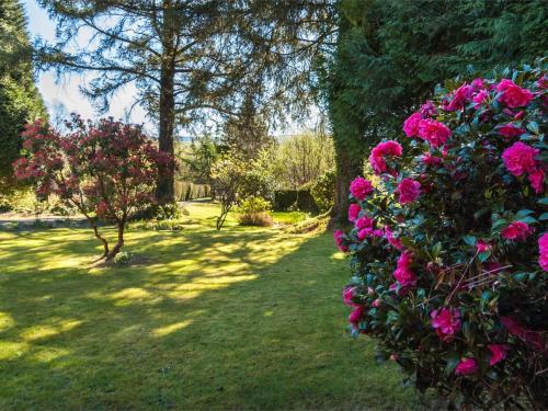 Iekārtas, 2 Bed in Neath oc-bn247 in Krainanta