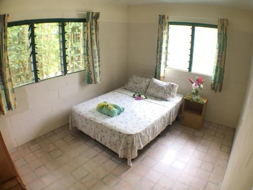 绿色度假屋山林小屋