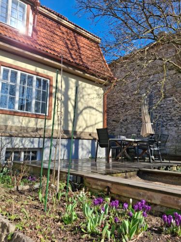 Garden, Villa Villu Kalamaja - 4 Level Apartment with Sauna & Terrace in Kalamaja