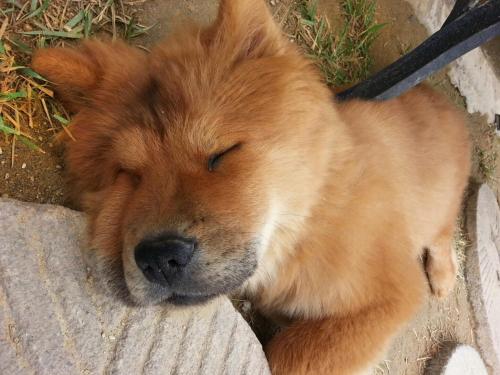 Dowon Guesthouse Dowon Guesthouse