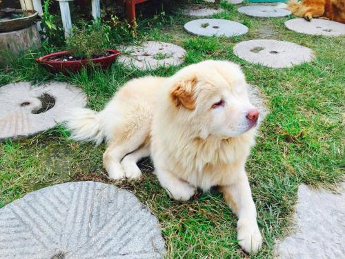 Dowon Guesthouse Dowon Guesthouse