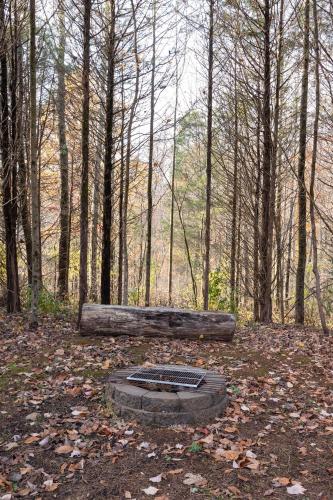 Woodland Haven in Salem (IN)