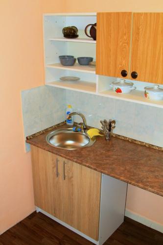 ห้องครัว, Apartment on Kharkovskoe Shosse 170 b in ดาร์นึชกี