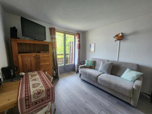 Studio 19m² à Samoëns, 4 pers, animaux admis, parking - FR-1-629-144 - Location saisonnière - Samoëns